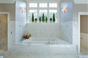 Luxury bathroom in Washington DC